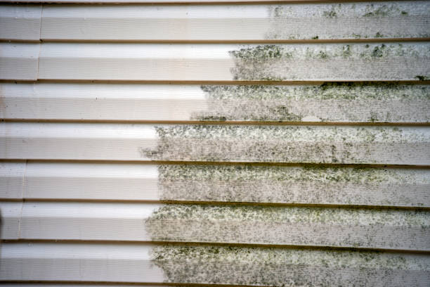 Best Construction Debris Removal  in Shelter Island Heights, NY